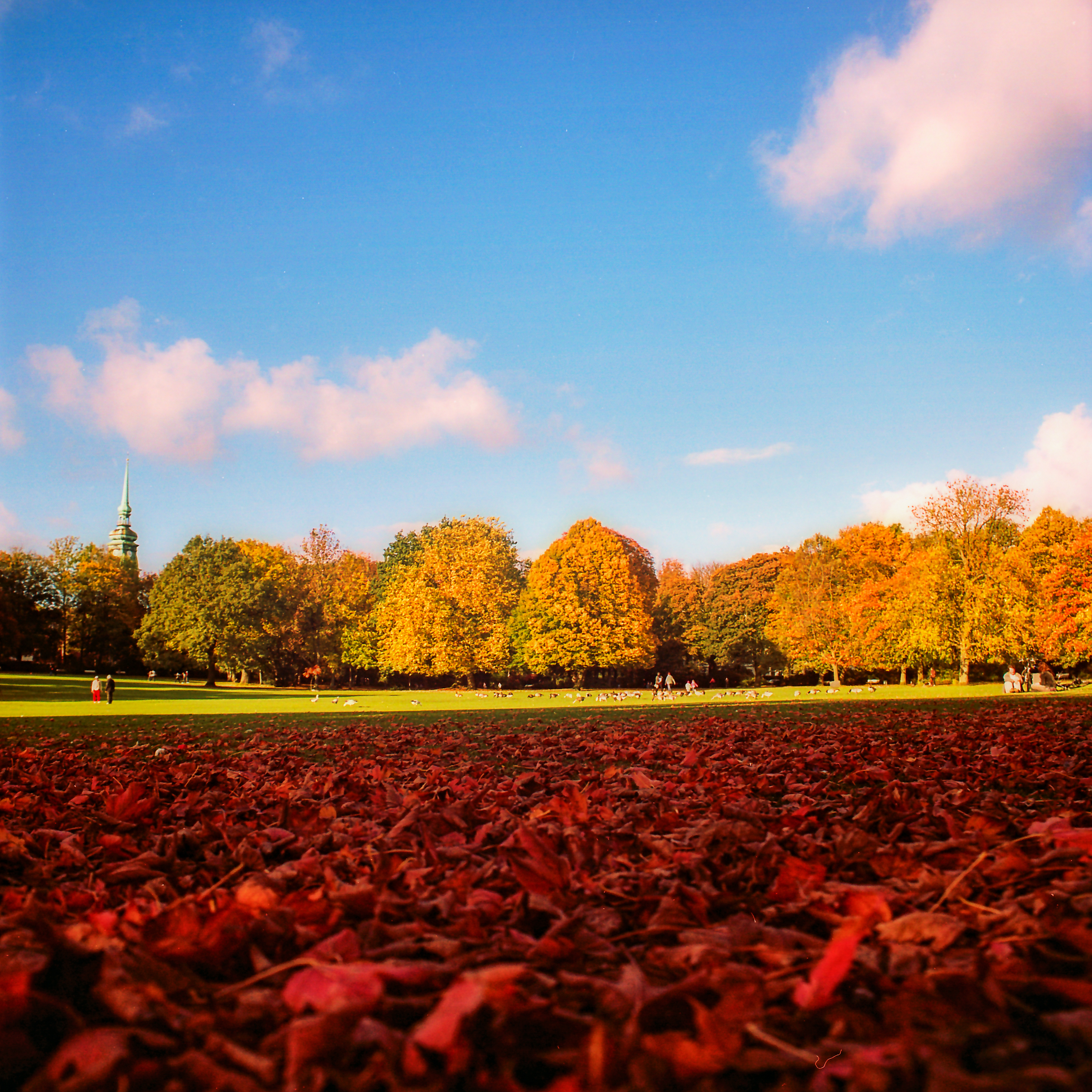 Herbst im Schrevenpark in Kiel